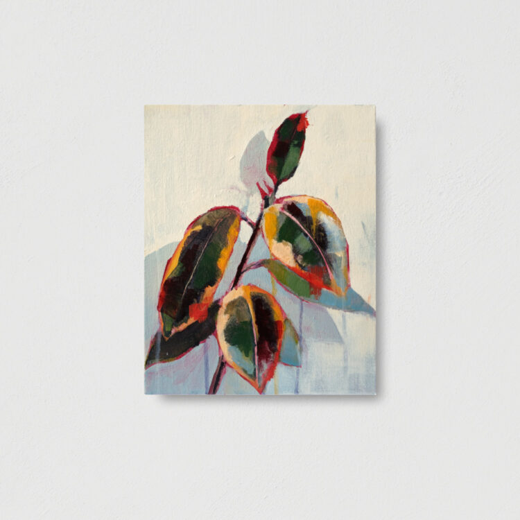 Ficuspflänzchen - Image 1