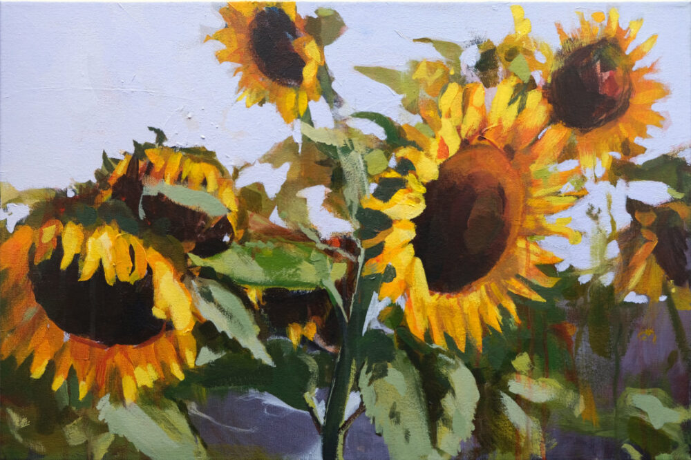 sonnenblumenfeld-kunst-mia-tlustos